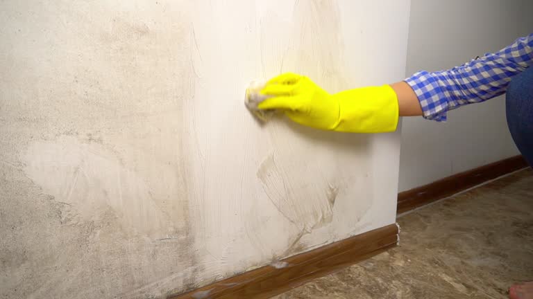 Best Water Damage & Mold Remediation  in West Bishop, CA