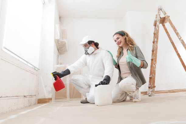 Best Mold Damage Restoration  in West Bishop, CA